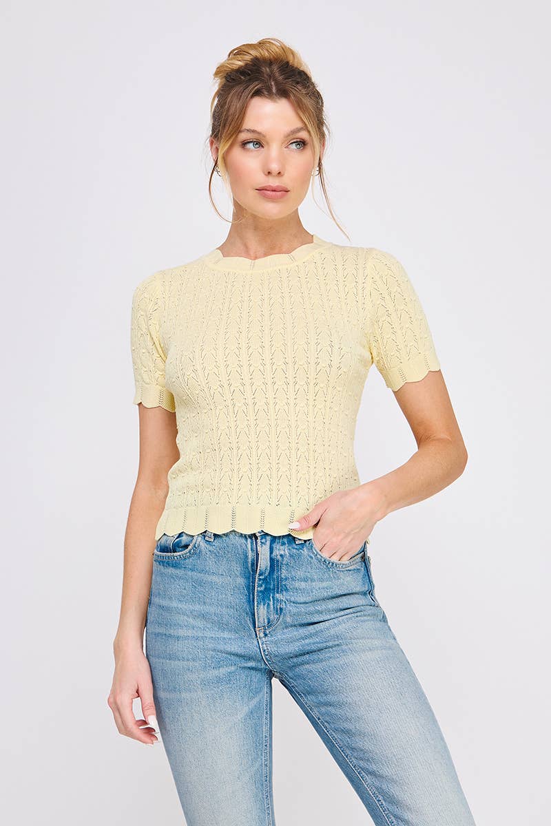 Pointelle Knit Top : Off White / S