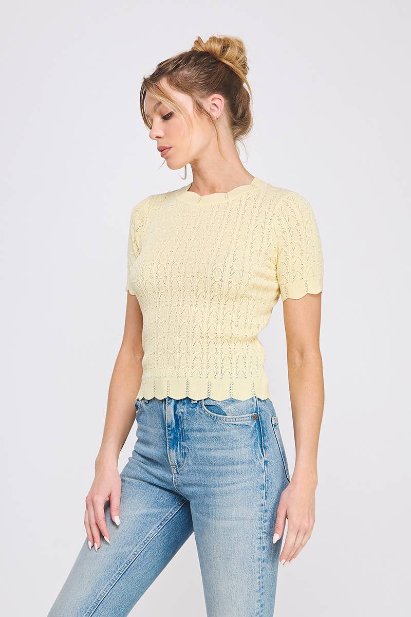 Pointelle Knit Top : Off White / S