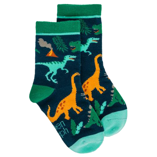 Toddler Socks - Multi Dino - Large