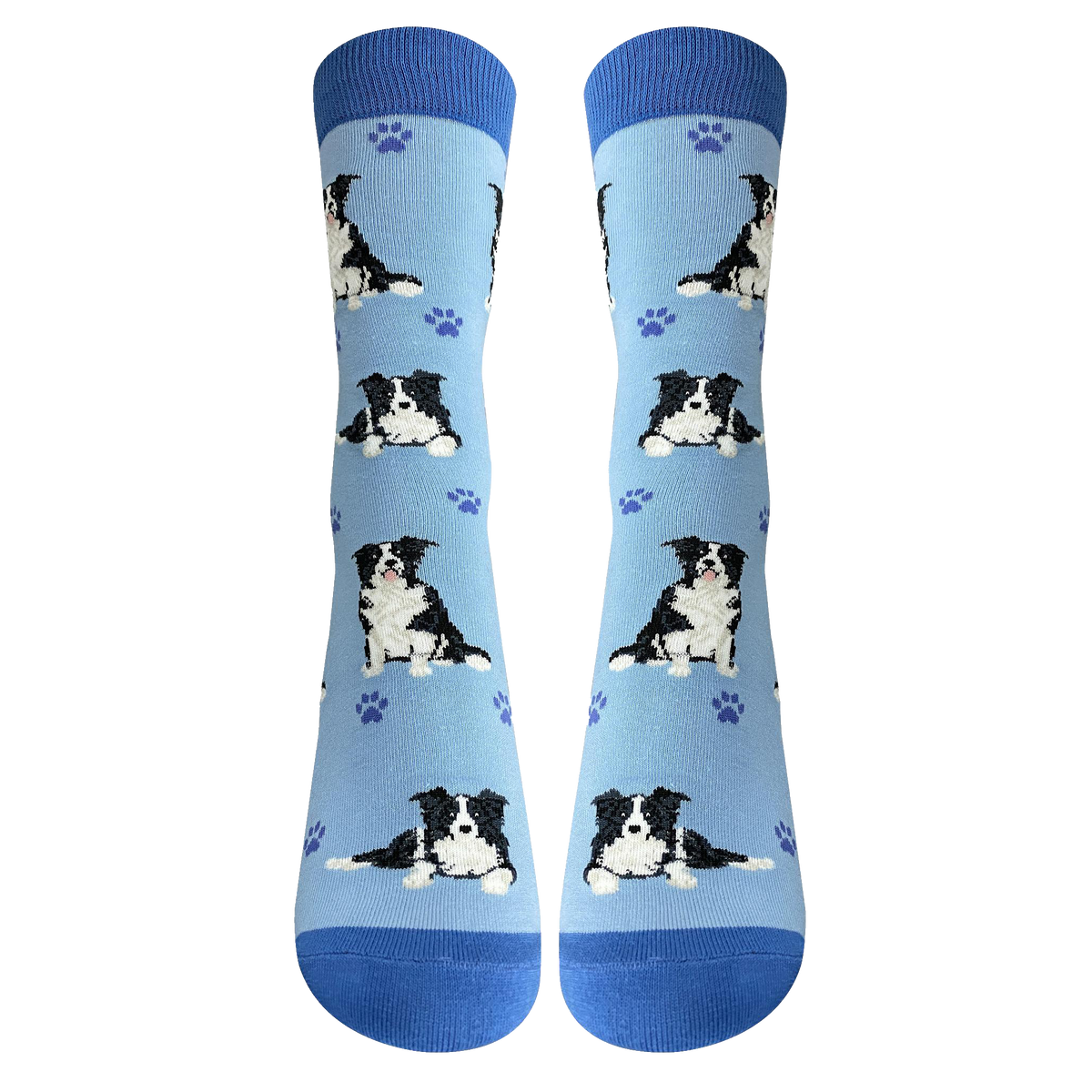 Border Collie Dog Socks