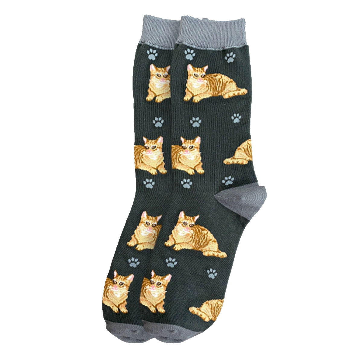 Tabby Cat Socks